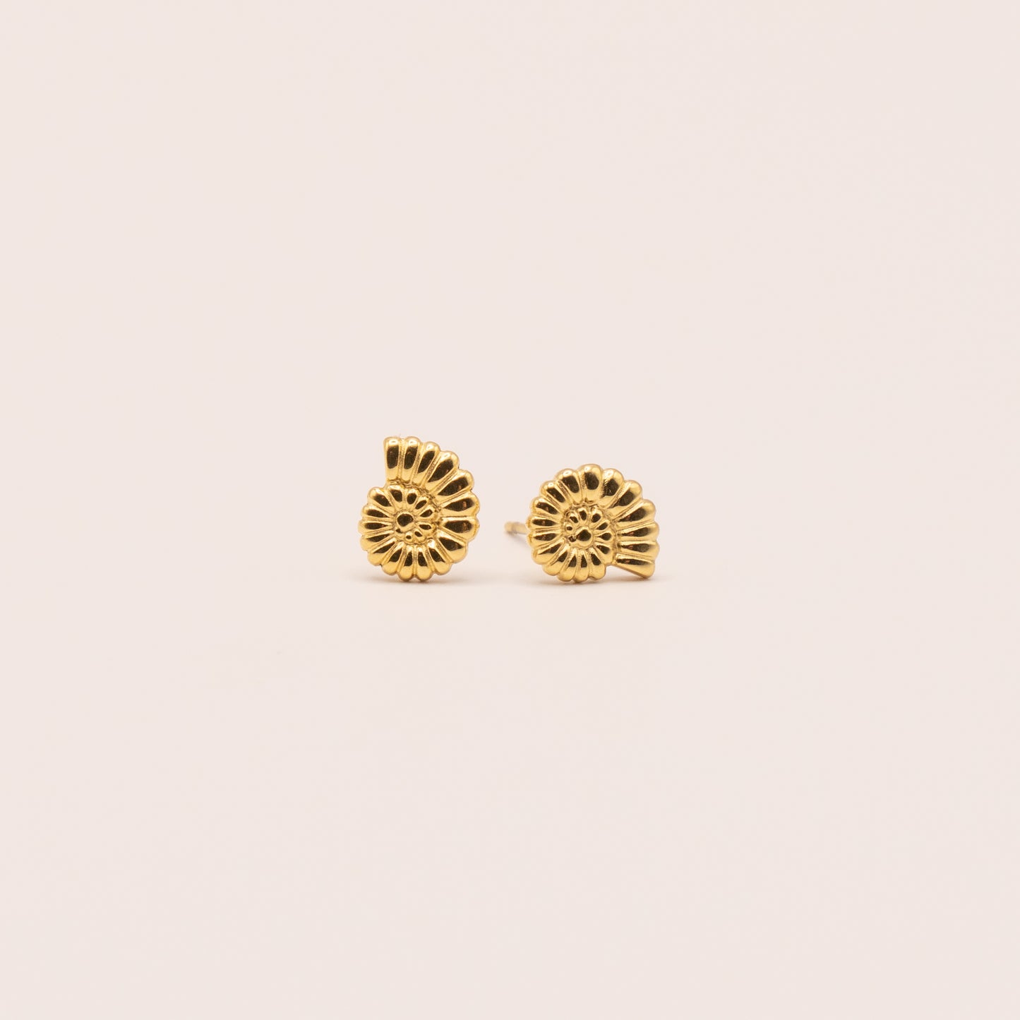 Pendientes Caracola