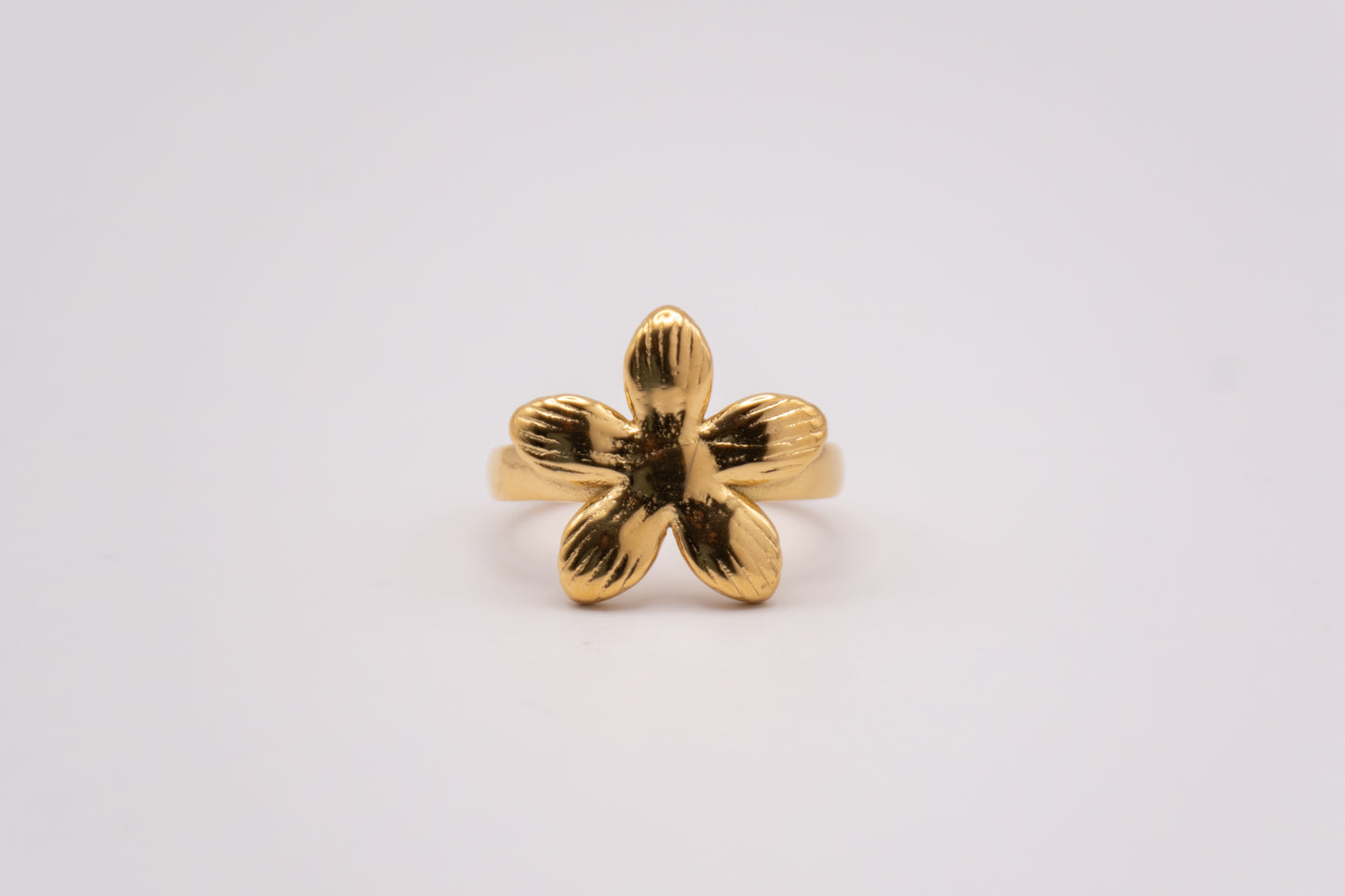 Anillo Aulaga
