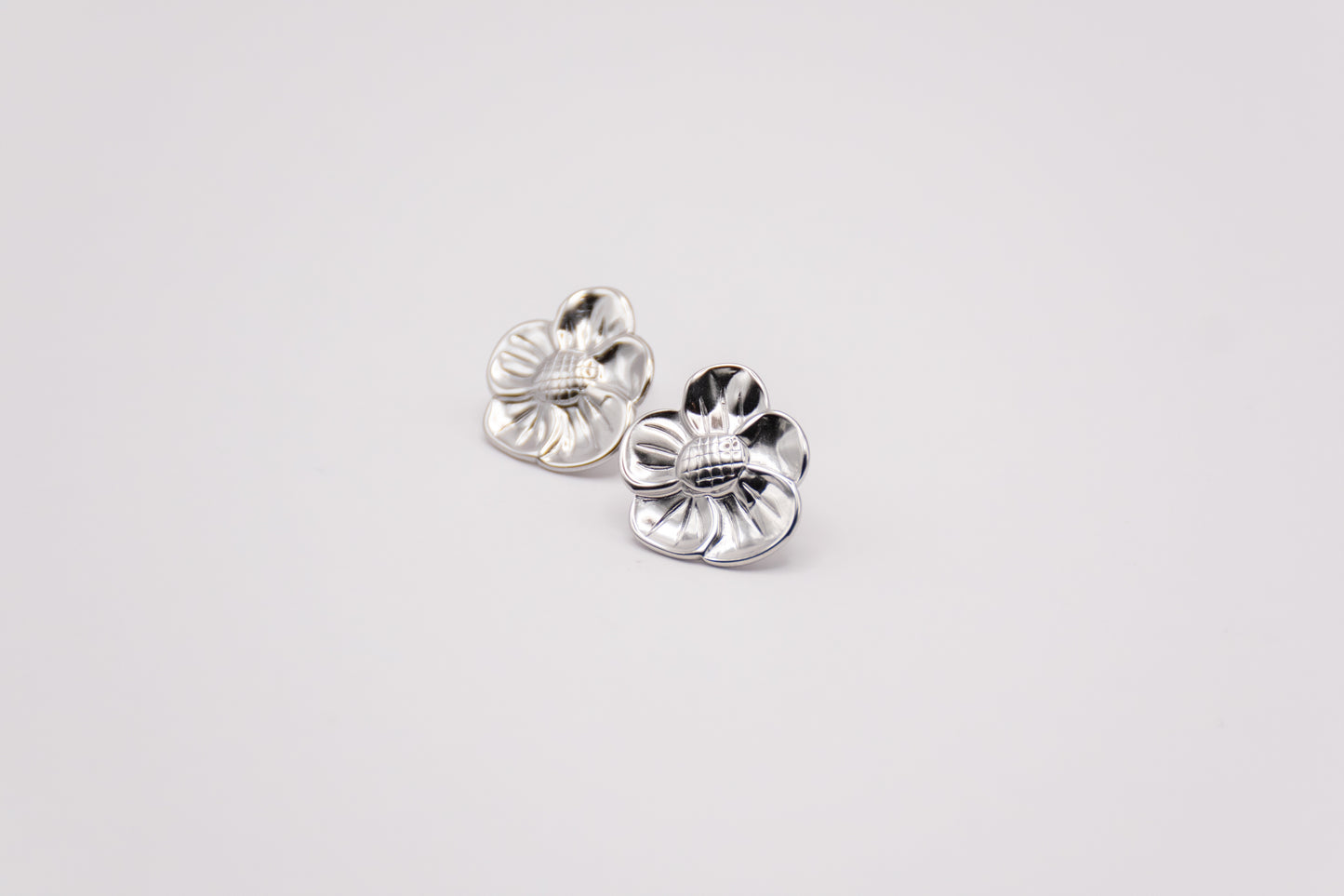 Pendientes Tegui