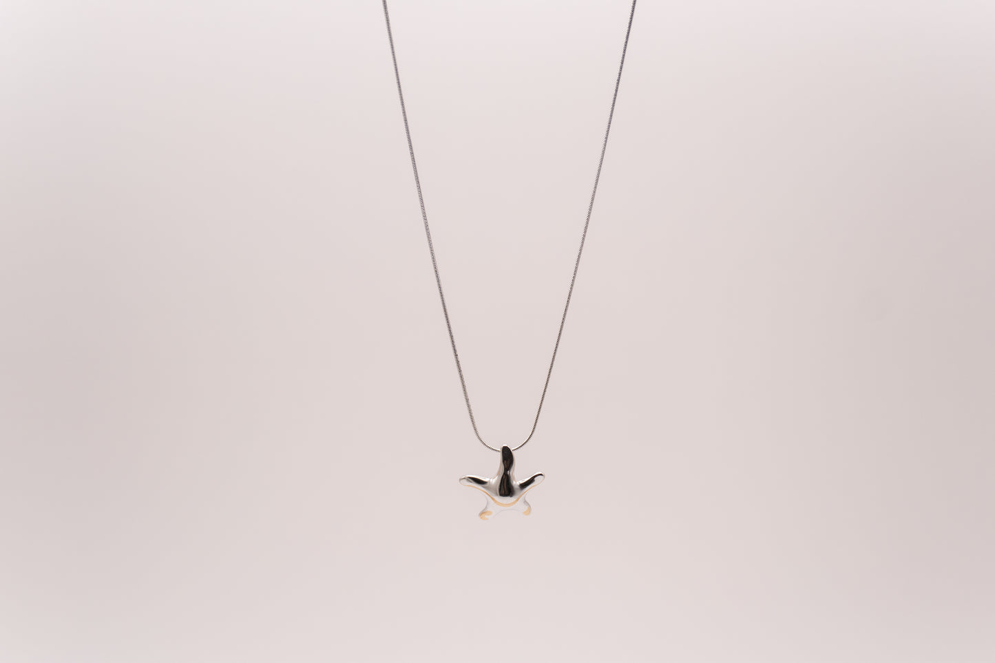 Choker Asteroidea