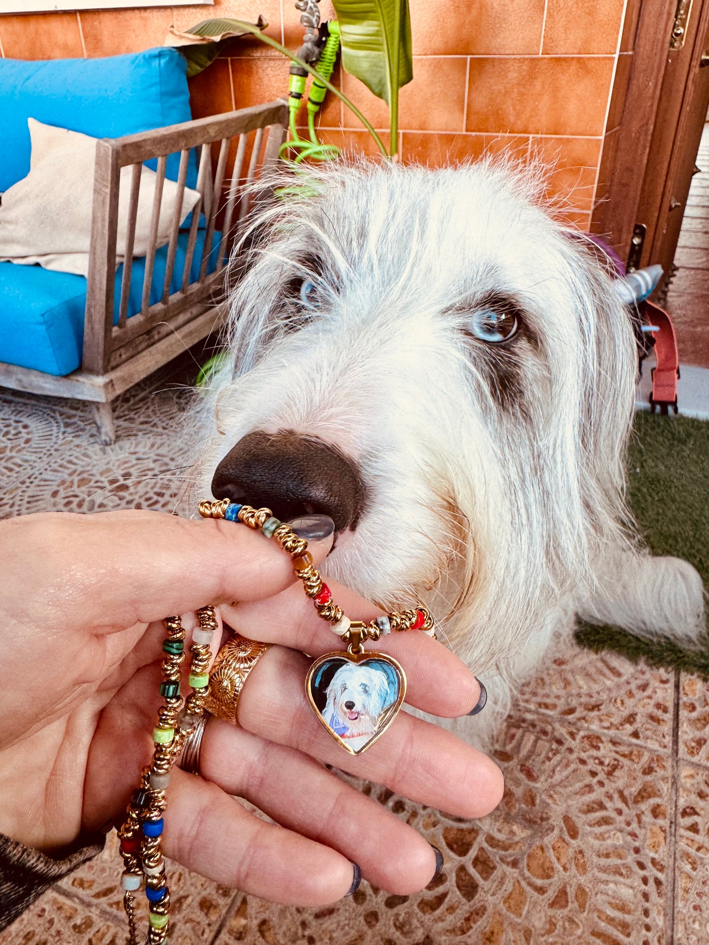 Cora Foto