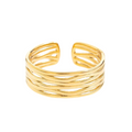 Anillo Arki