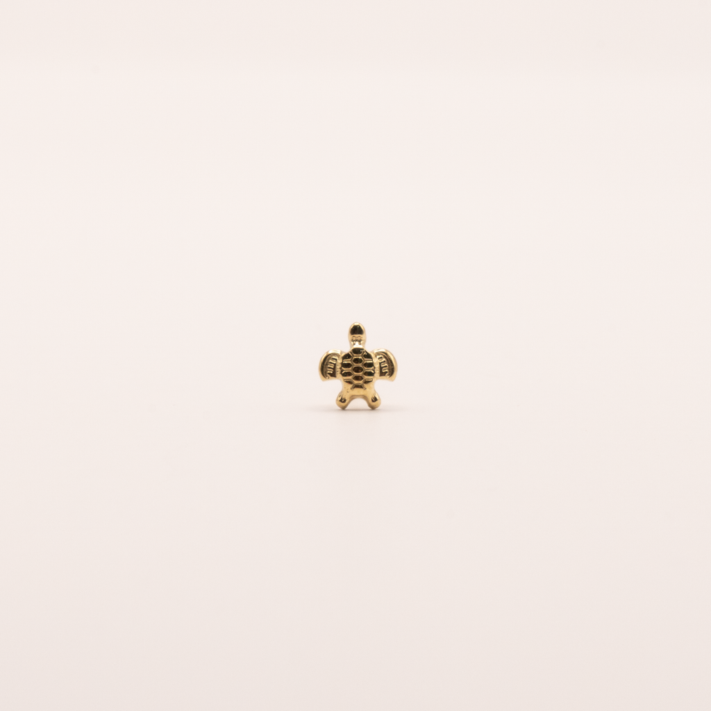 Pendientes Pacífico