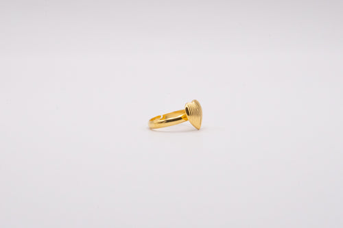Anillo Sirds