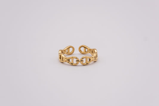Anillo Silencio
