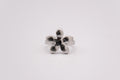 Anillo Aulaga