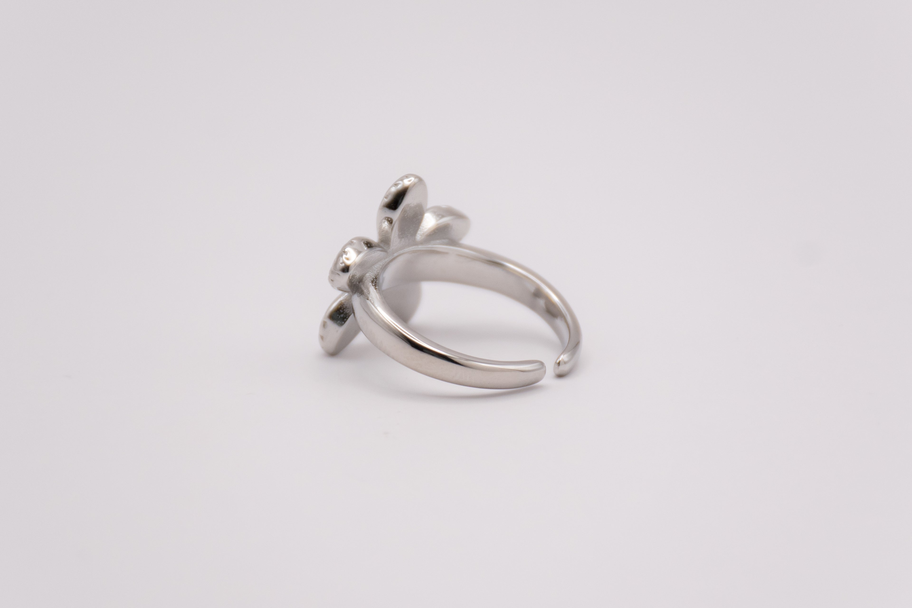 Anillo Aulaga