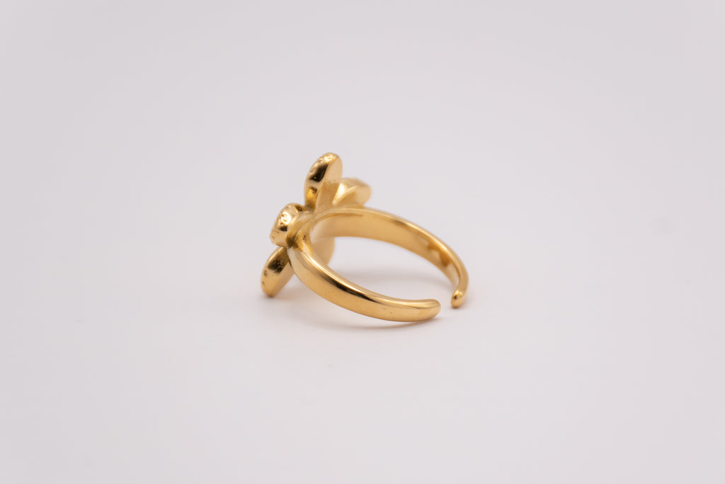 Anillo Aulaga