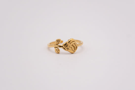 Anillo Alba