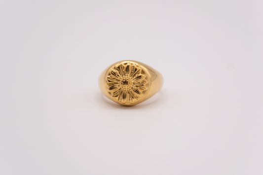 Anillo Femés