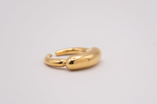 Anillo Horizonte