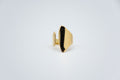 Anillo Boreas