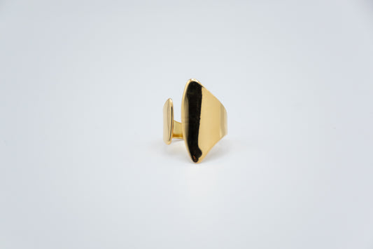 Anillo Boreas