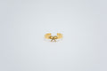 Anillo Selenia