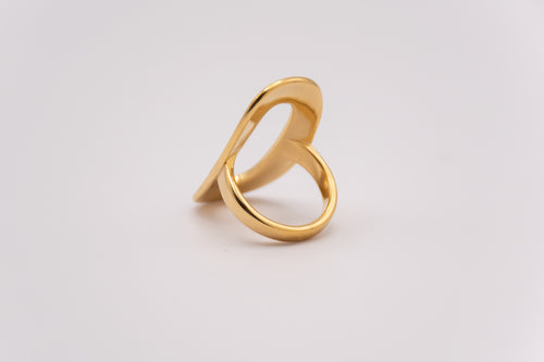 Anillo Cauce