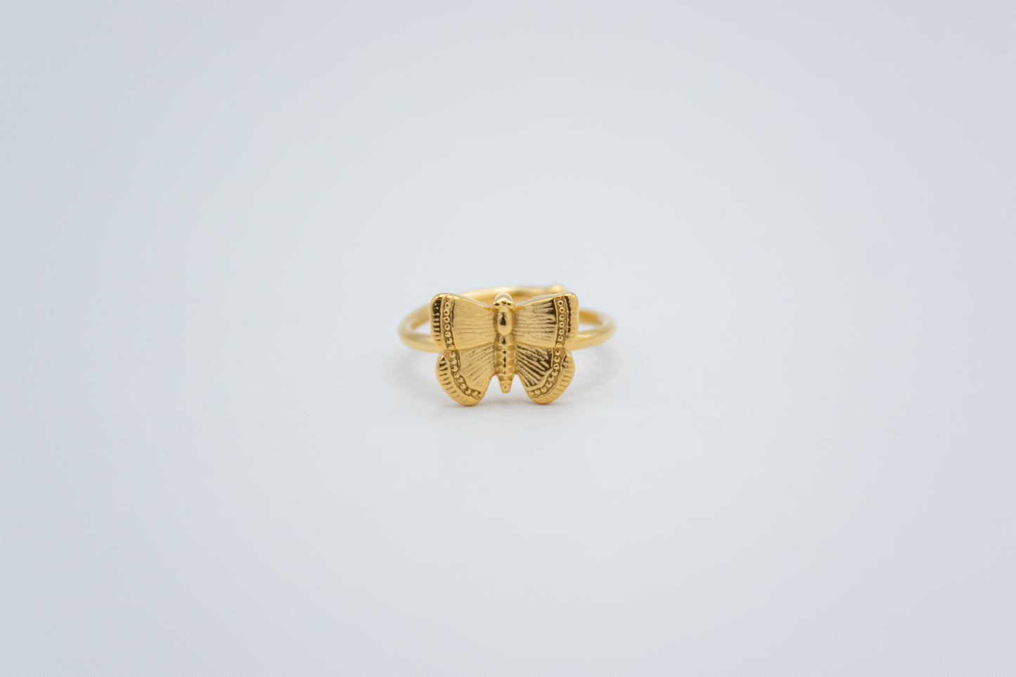 Anillo Estelae
