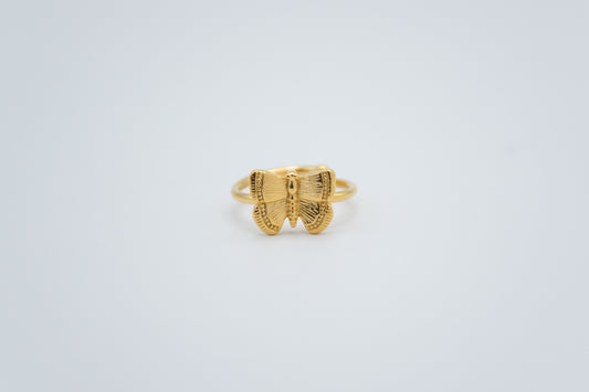 Anillo Estelae