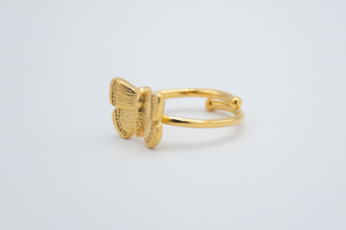 Anillo Estelae