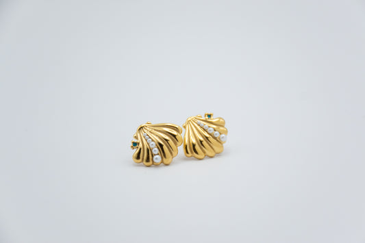 Pendientes Concha de Mar