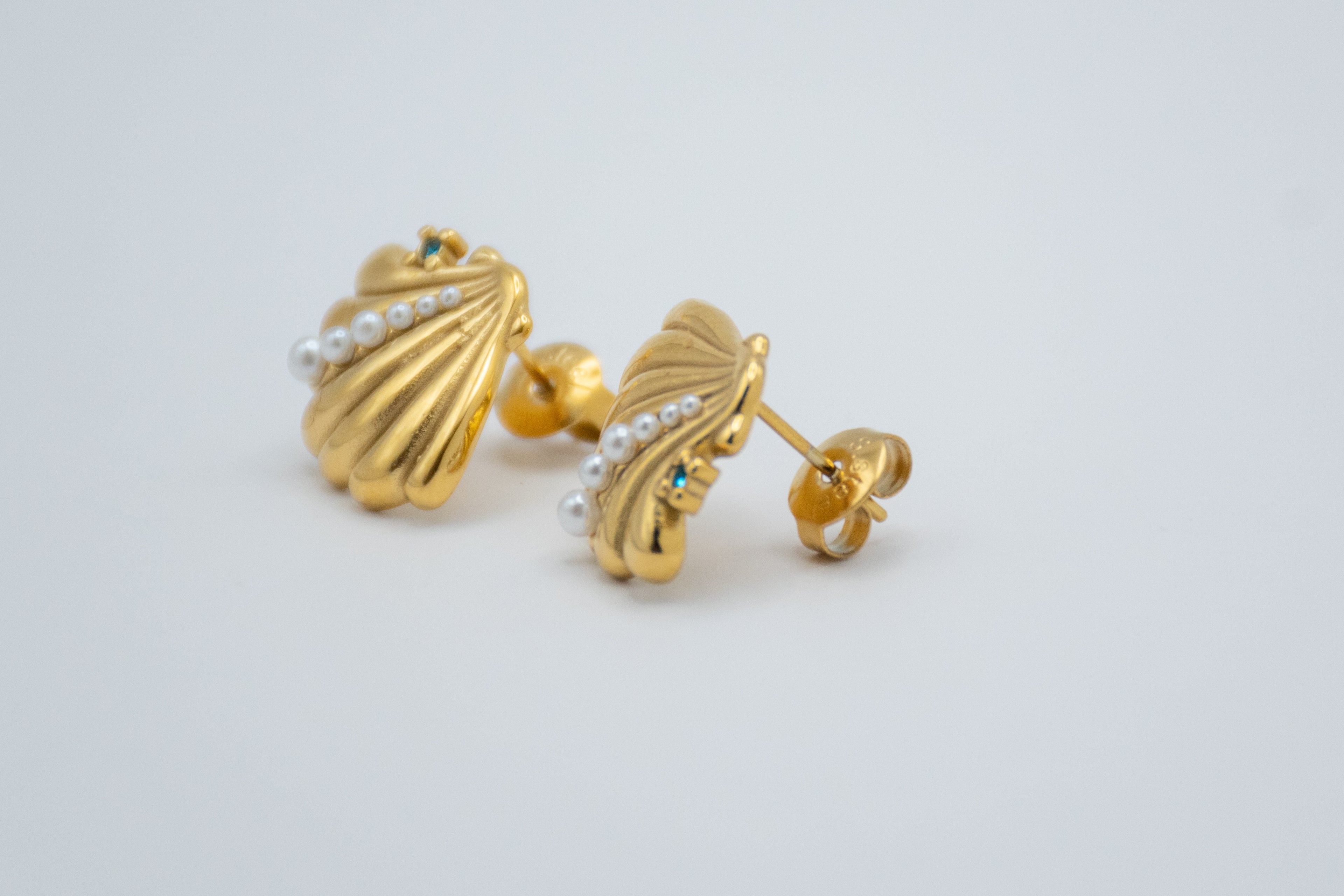 Pendientes Concha de Mar