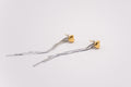 Pendientes Marea
