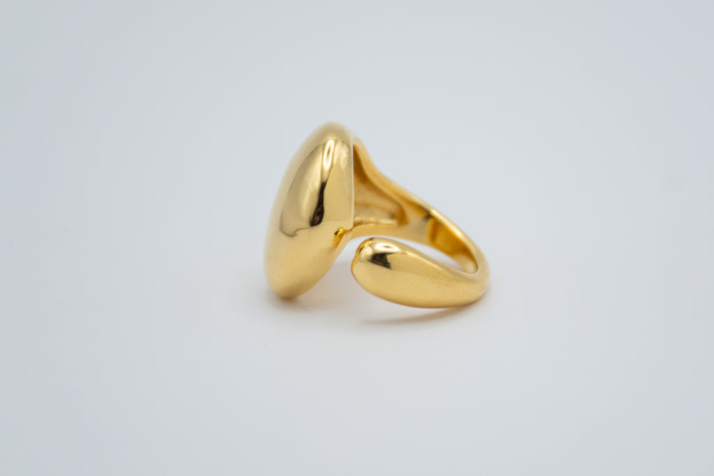 Anillo Bríza