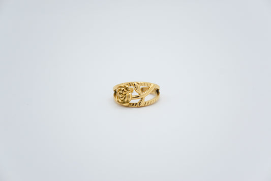 Anillo Alisioe