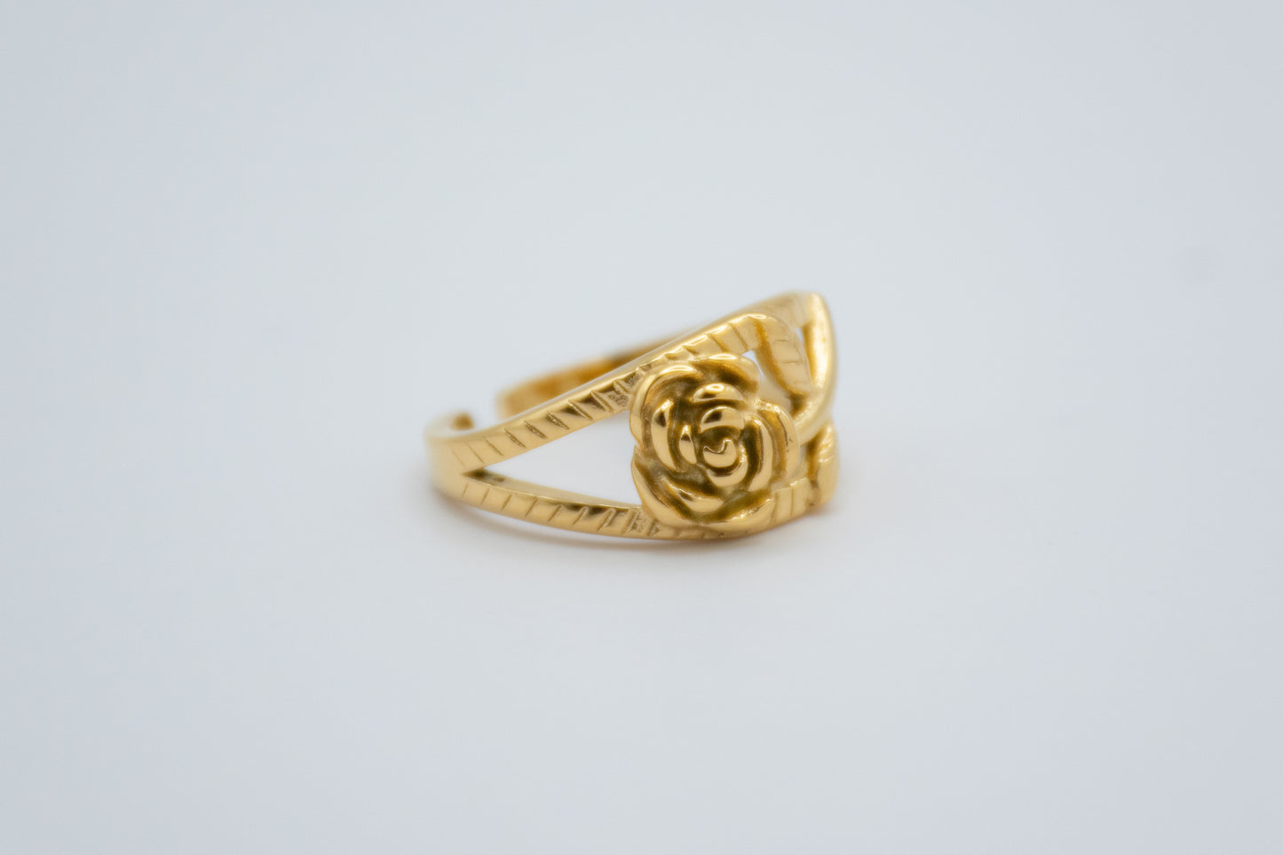 Anillo Alisioe