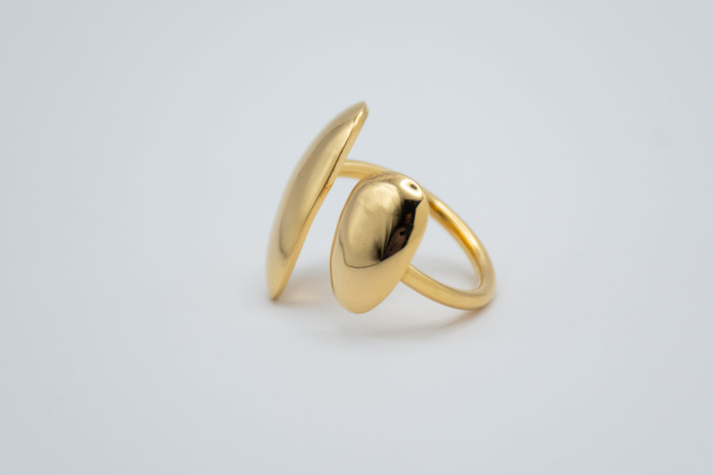 Anillo Oleaje