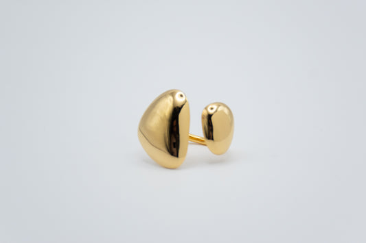 Anillo Oleaje