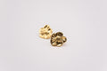 Pendientes Tegui