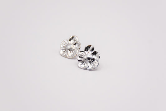 Pendientes Tegui