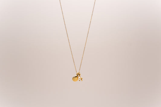 Choker Coralina