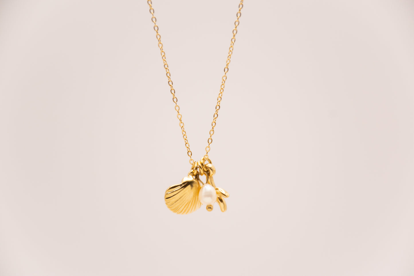 Choker Coralina