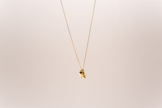 Choker Bravío
