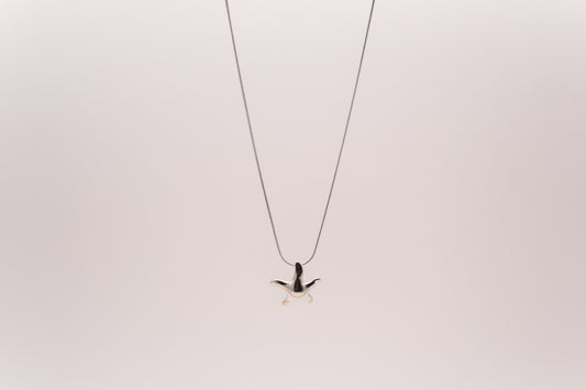 Choker Asteroidea