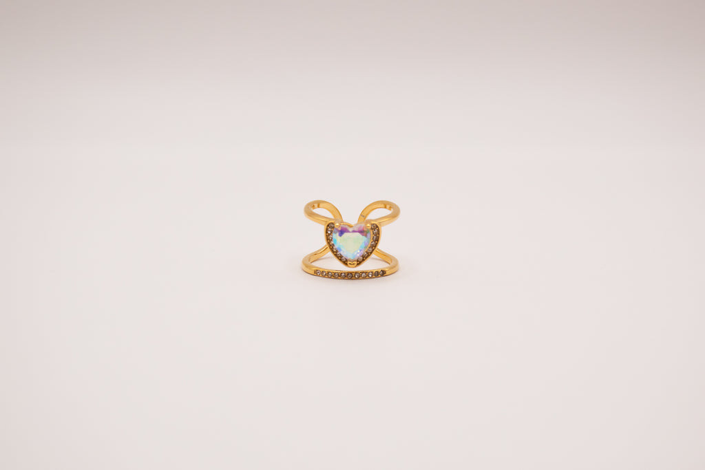 Anillo Spindesys