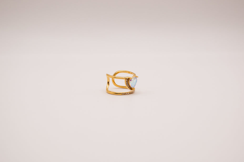 Anillo Spindesys