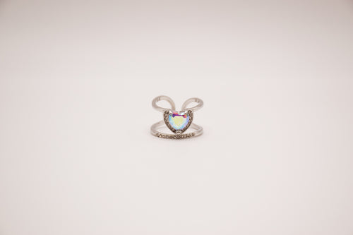 Anillo Spindesys