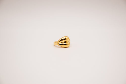 Anillo Gonfiar