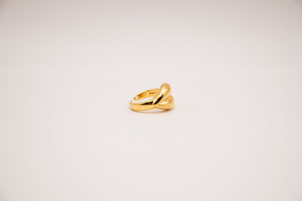 Anillo Gonfiar