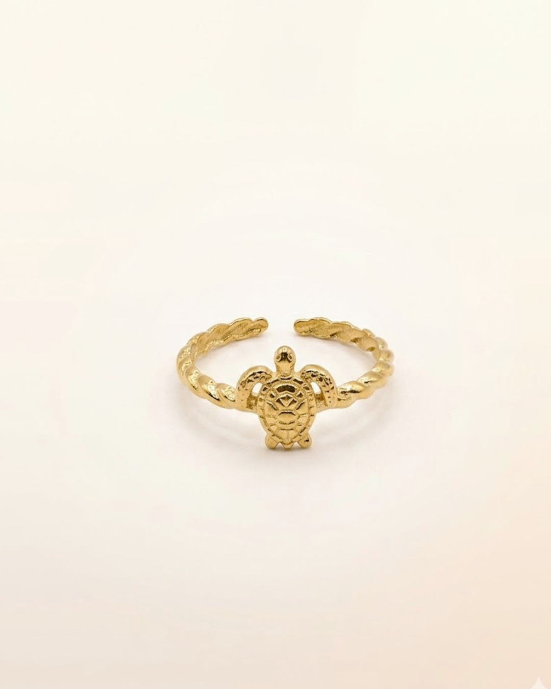 Anillo Enkima