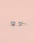 Pendientes Paw