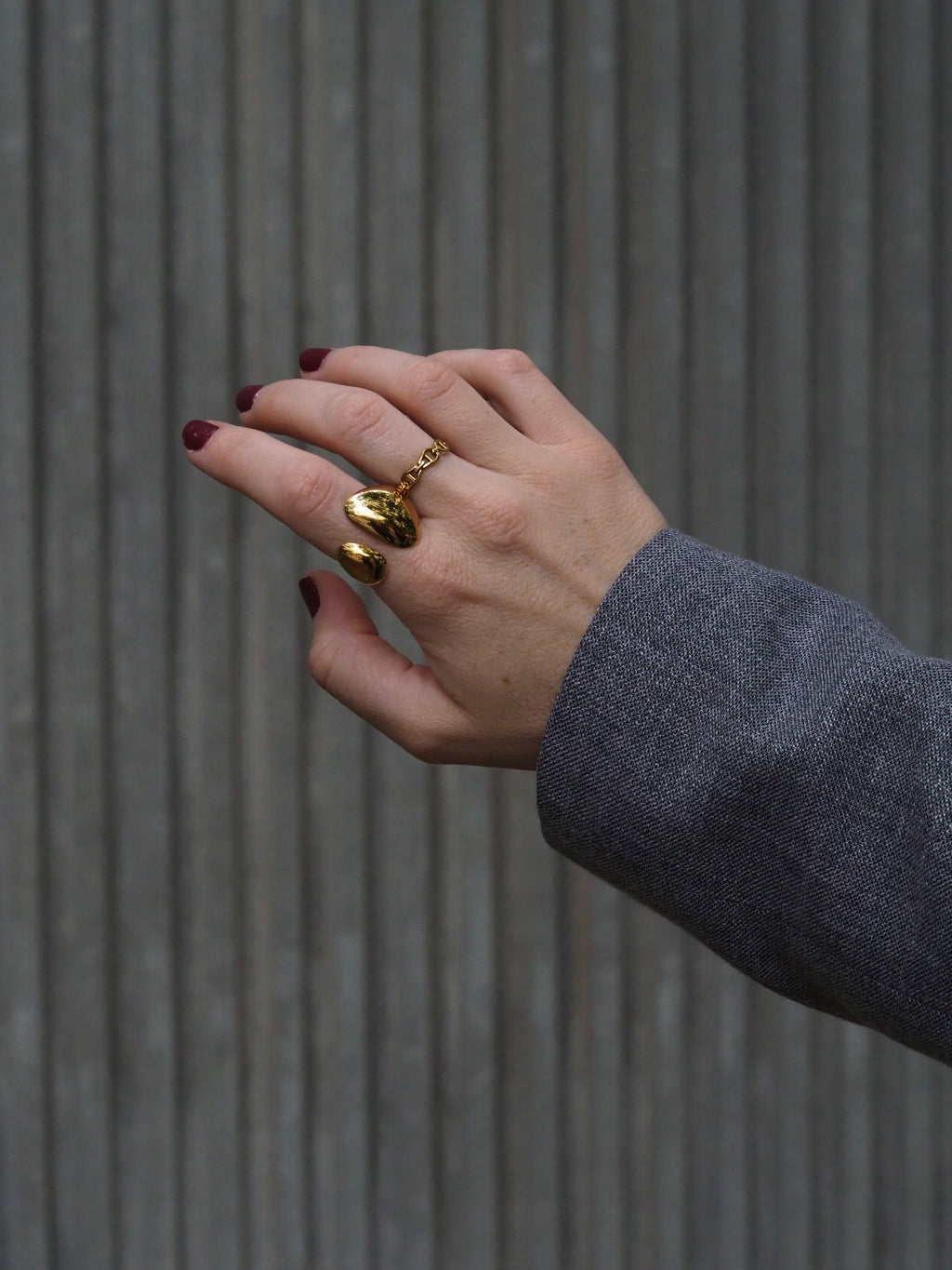 Anillo Boreas